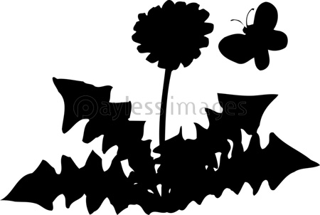 タンポポのシルエット 商用利用可能な写真素材 イラスト素材ならストックフォトの定額制ペイレスイメージズ
