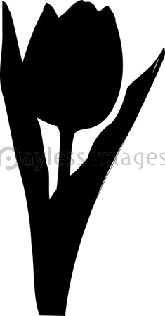 チューリップのシルエット - 商用利用可能な写真素材・イラスト素材