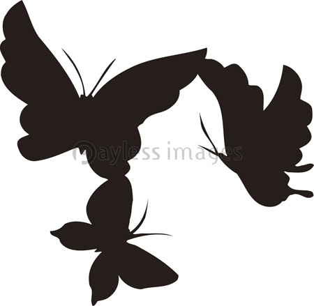 ブラックバタフライ｜絵画 原画 蝶の絵 イラスト ドローイング 舞う蝶