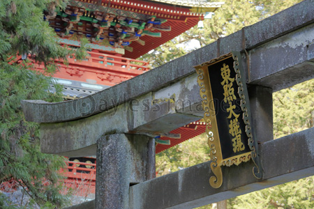 日光 東照宮 石鳥居と五重塔 商用利用可能な写真素材 イラスト素材ならストックフォトの定額制ペイレスイメージズ