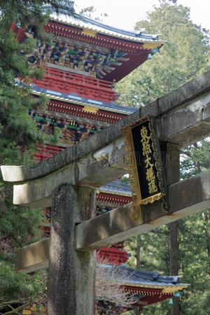 日光 東照宮 石鳥居と五重塔 商用利用可能な写真素材 イラスト素材ならストックフォトの定額制ペイレスイメージズ