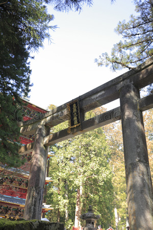 日光 東照宮 石鳥居と五重塔 商用利用可能な写真素材 イラスト素材ならストックフォトの定額制ペイレスイメージズ