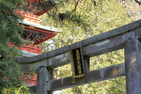 日光 東照宮 石鳥居と五重塔 商用利用可能な写真素材 イラスト素材ならストックフォトの定額制ペイレスイメージズ