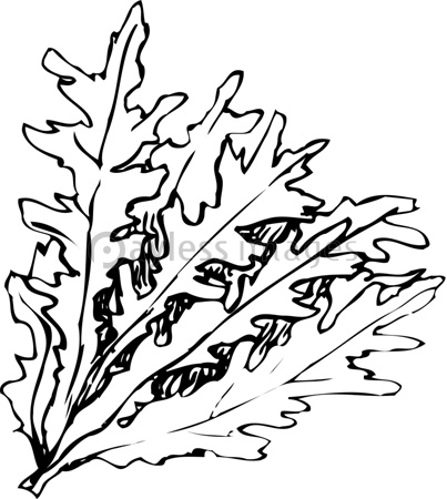 マカデミアナッツ ビスタチオ 商用利用可能な写真素材 イラスト素材ならストックフォトの定額制ペイレスイメージズ