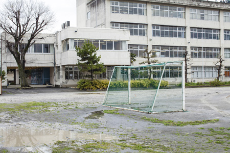 美しい花の画像 最新校庭 イラスト