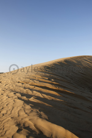 早朝の鳥取砂丘 商用利用可能な写真素材 イラスト素材ならストックフォトの定額制ペイレスイメージズ