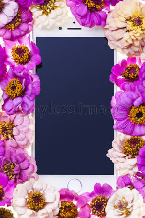 敷き詰めた花とスマートフォン 商用利用可能な写真素材 イラスト素材ならストックフォトの定額制ペイレスイメージズ