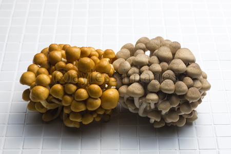 なめことぶなしめじ 商用利用可能な写真素材 イラスト素材ならストックフォトの定額制ペイレスイメージズ