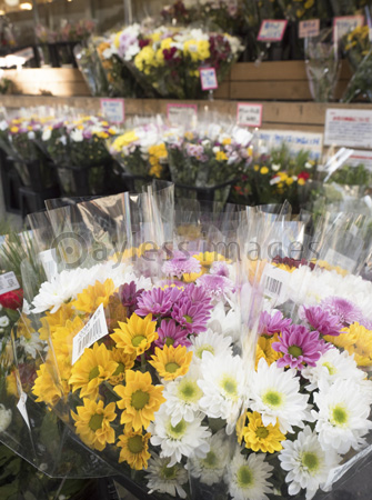花売り場 商用利用可能な写真素材 イラスト素材ならストックフォトの定額制ペイレスイメージズ