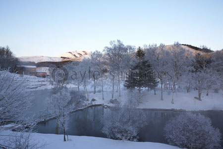 早朝の冬の白樺湖 ストックフォトの定額制ペイレスイメージズ