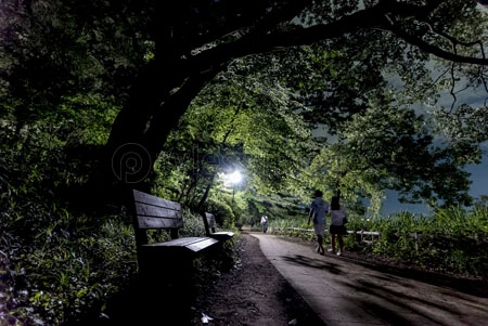 夜の公園を歩くカップル ストックフォトの定額制ペイレスイメージズ