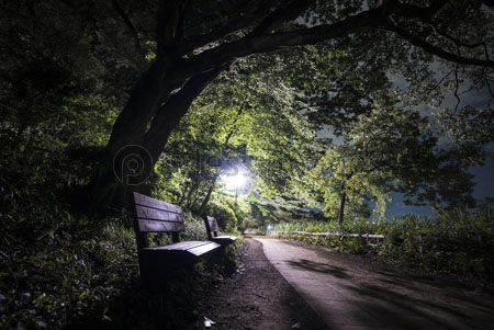 夜の公園 商用利用可能な写真素材 イラスト素材ならストックフォトの定額制ペイレスイメージズ