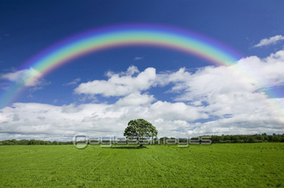 草原の一本の木と虹 商用利用可能な写真素材 イラスト素材ならストックフォトの定額制ペイレスイメージズ