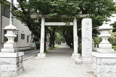 碑文谷八幡宮 目黒区 ストックフォトの定額制ペイレスイメージズ
