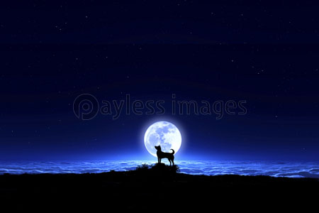 満月の夜空と走る犬のシルエット - 商用利用可能な写真素材・イラスト