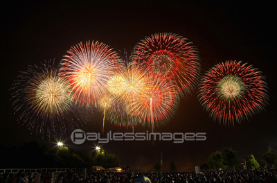 花火と見物人の合成写真 商用利用可能な写真素材 イラスト素材ならストックフォトの定額制ペイレスイメージズ