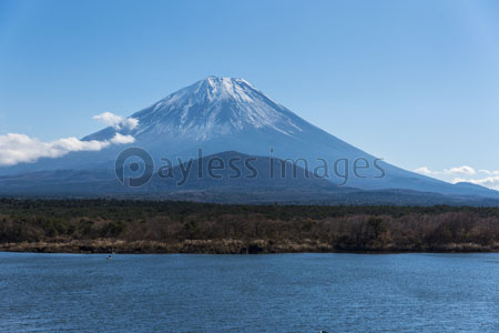 西湖と富士山 ストックフォトの定額制ペイレスイメージズ