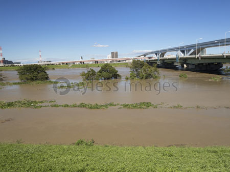 台風で大増水した荒川 東京都足立区 商用利用可能な写真素材 イラスト素材ならストックフォトの定額制ペイレスイメージズ