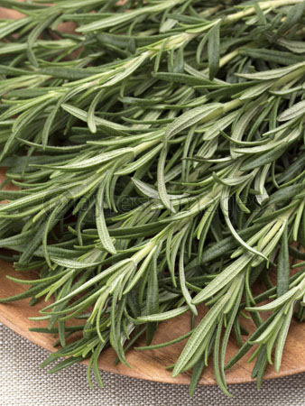 ハーブ チャービル 商用利用可能な写真素材 イラスト素材ならストックフォトの定額制ペイレスイメージズ