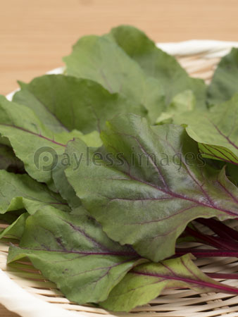 イタリアンパセリ ストックフォトの定額制ペイレスイメージズ