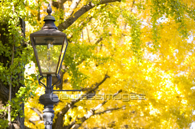 ガス灯の写真 イラスト素材 写真素材 商用利用可能な写真素材 イラスト素材ならストックフォトの定額制ペイレスイメージズ