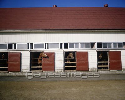 馬舎 商用利用可能な写真素材 イラスト素材ならストックフォトの定額制ペイレスイメージズ