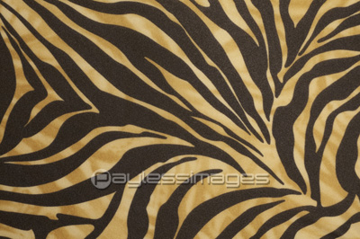 虎柄の写真 イラスト素材 写真素材 ストックフォトの定額制ペイレスイメージズ