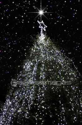 星空の中のクリスマスツリー 商用利用可能な写真素材 イラスト素材ならストックフォトの定額制ペイレスイメージズ
