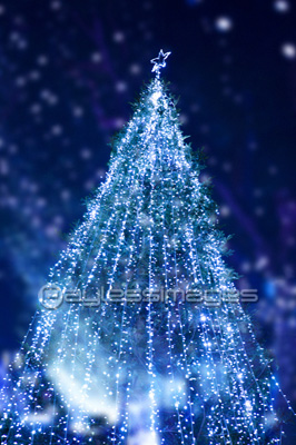 クリスマスツリー 商用利用可能な写真素材 イラスト素材ならストックフォトの定額制ペイレスイメージズ