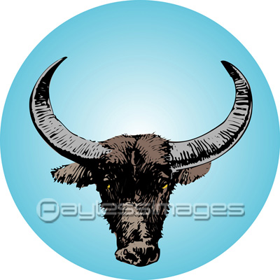 水牛 商用利用可能な写真素材 イラスト素材ならストックフォトの定額制ペイレスイメージズ