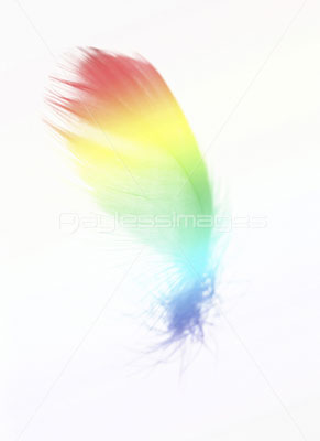 虹色の羽 商用利用可能な写真素材 イラスト素材ならストックフォトの定額制ペイレスイメージズ