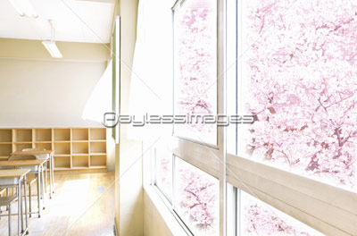 教室から見える桜 商用利用可能な写真素材 イラスト素材ならストックフォトの定額制ペイレスイメージズ