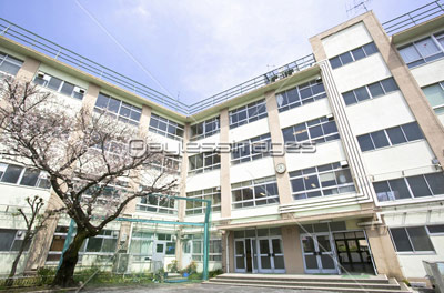 校庭の写真 イラスト素材 写真素材 ストックフォトの定額制ペイレスイメージズ