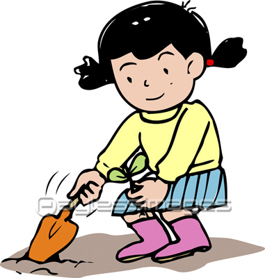 種まき ストックフォトの定額制ペイレスイメージズ