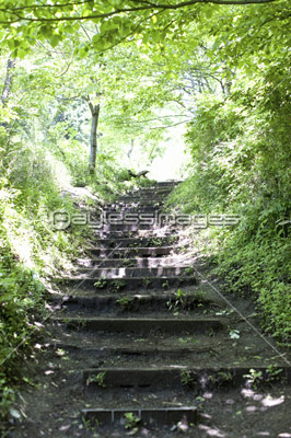 山道 商用利用可能な写真素材 イラスト素材ならストックフォトの定額制ペイレスイメージズ