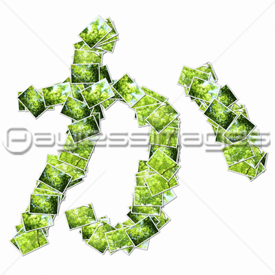 森の写真でひらがなの文字 商用利用可能な写真素材 イラスト素材ならストックフォトの定額制ペイレスイメージズ 森の写真でひらがなの文字 商用利用可能な写真素材 イラスト素材ならストックフォトの定額制ペイレスイメージズ