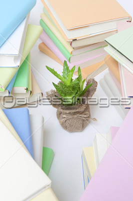 山積みの本と観葉植物 商用利用可能な写真素材 イラスト素材ならストックフォトの定額制ペイレスイメージズ