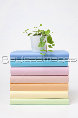 山積みの本 商用利用可能な写真素材 イラスト素材ならストックフォトの定額制ペイレスイメージズ