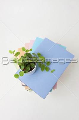 山積みの本 商用利用可能な写真素材 イラスト素材ならストックフォトの定額制ペイレスイメージズ