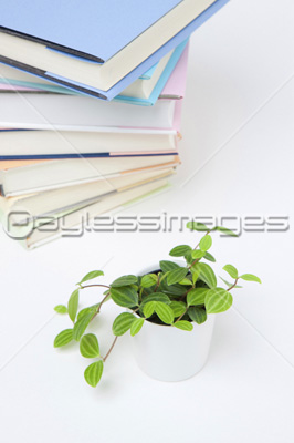 山積みの本 商用利用可能な写真素材 イラスト素材ならストックフォトの定額制ペイレスイメージズ