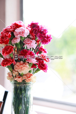 窓辺の花瓶に生けられたカーネーションの花束 ストックフォトの定額制ペイレスイメージズ