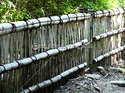 竹の柵と竜のヒゲ 商用利用可能な写真素材 イラスト素材ならストックフォトの定額制ペイレスイメージズ