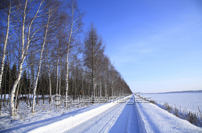 雪道と樹氷 商用利用可能な写真素材 イラスト素材ならストックフォトの定額制ペイレスイメージズ