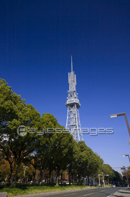 名古屋テレビ塔とオアシス21 商用利用可能な写真素材 イラスト素材ならストックフォトの定額制ペイレスイメージズ