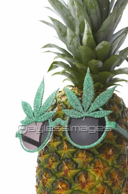 サングラスとパイナップル 商用利用可能な写真素材 イラスト素材ならストックフォトの定額制ペイレスイメージズ