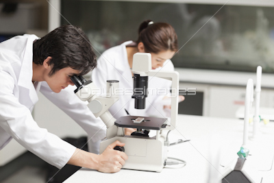 Serious science students using a microscope