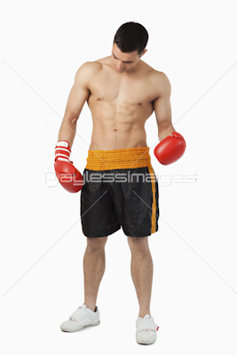 Young ripped boxer