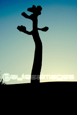 �ڤ�������