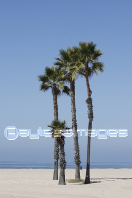 ���󥿥�˥��ӡ���