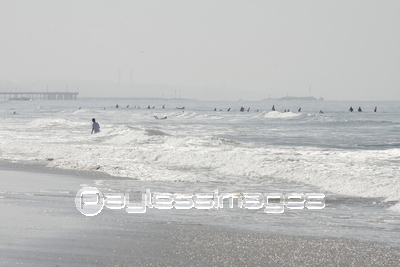 ���󥿥�˥��ӡ���